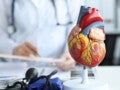 врач объясняет работу сердца